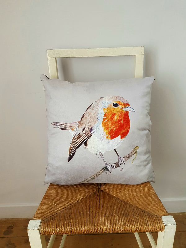 Original artwork robin cushion