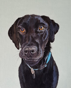Commission - Pet Portrait On Canvas
