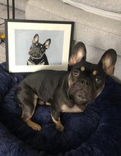 Load image into Gallery viewer, Commission - Pet Portrait On Canvas